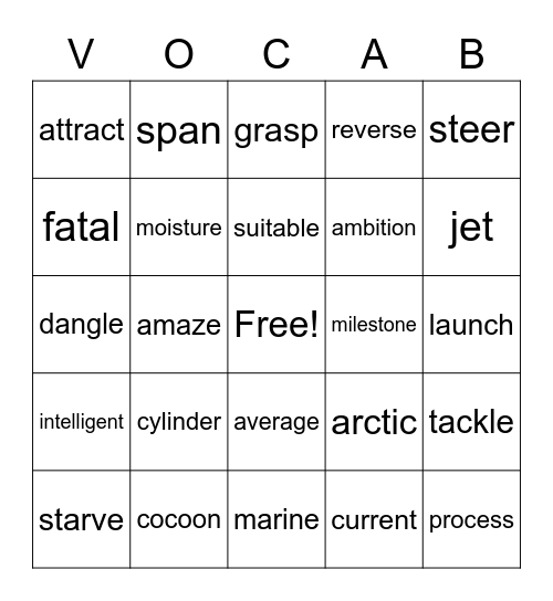 Vocabulary Bingo Card