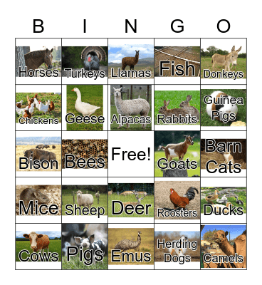 Farm Animal Bingo Card