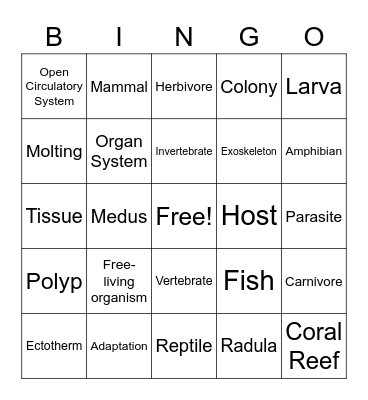 Spring Final Exam Vocab 7R Bingo Card