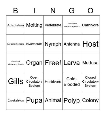 7D Final Exam Bingo Card