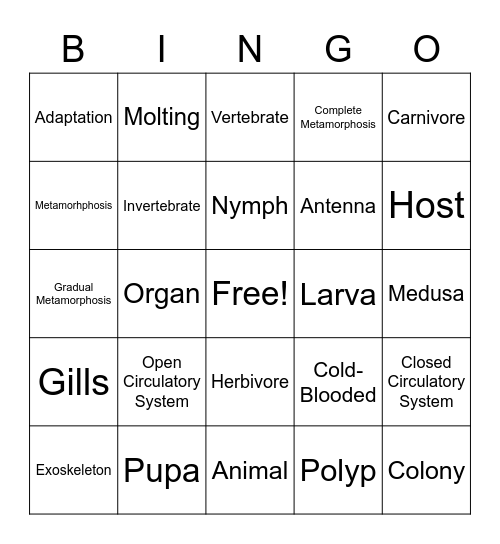 7D Final Exam Bingo Card