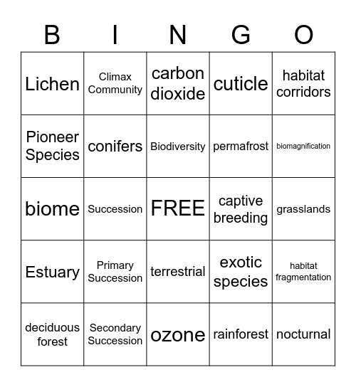 Succession Bingo Card