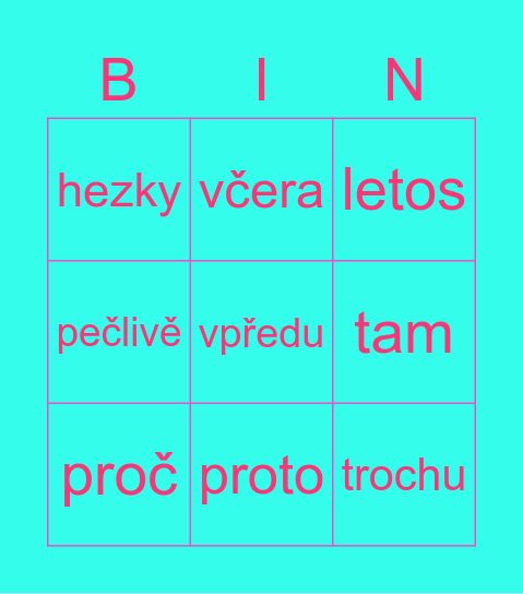 PŘÍSLOVCE Bingo Card