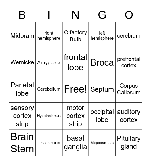 Brain! Bingo Card