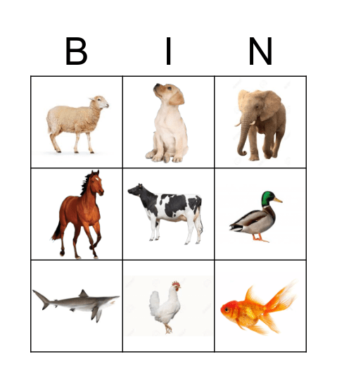 Animals Bingo Card