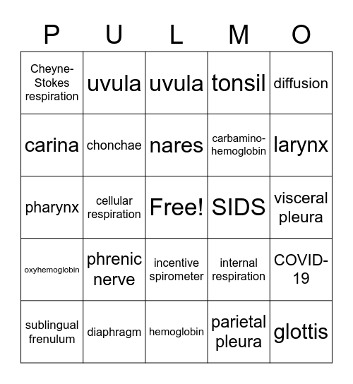 Respiratory System Bingo Card