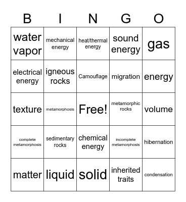 Vocabulary Bingo Card