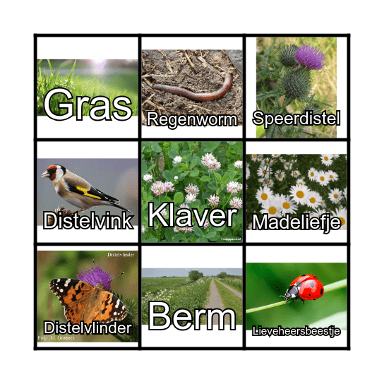 De berm bingo Card