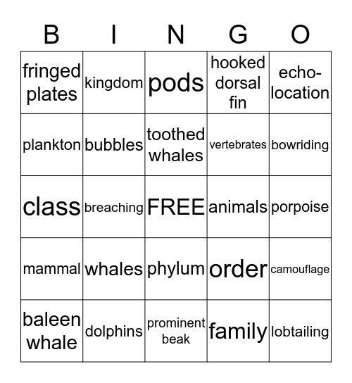 Dolphin Bingo Card