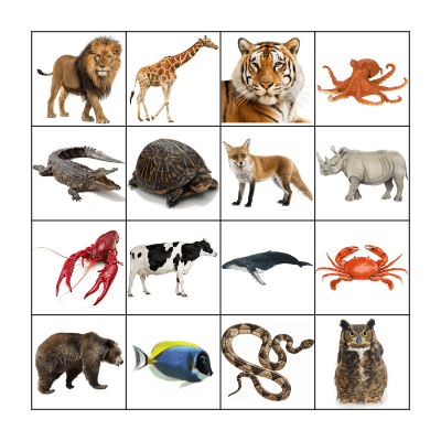L&D - Animals Bingo Card