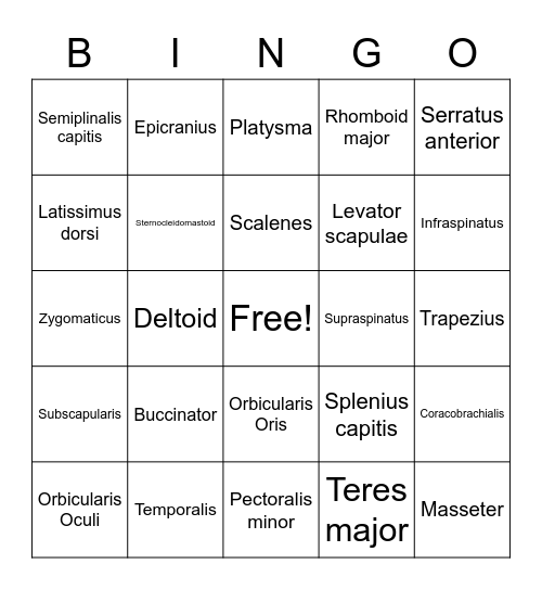 Muscle List 1 Bingo Card