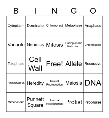 Human Body Bingo Card