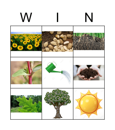 Plant Bingo Card