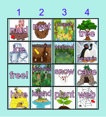 Animal habitats Bingo Card