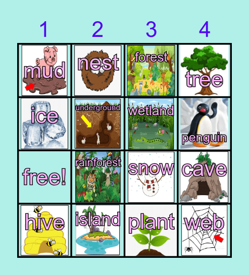 Animal habitats Bingo Card