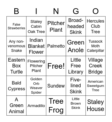 Big Thicket Nature Preserve Bingo Card