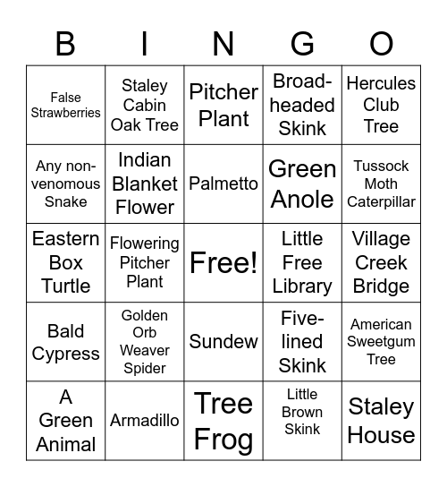 Big Thicket Nature Preserve Bingo Card