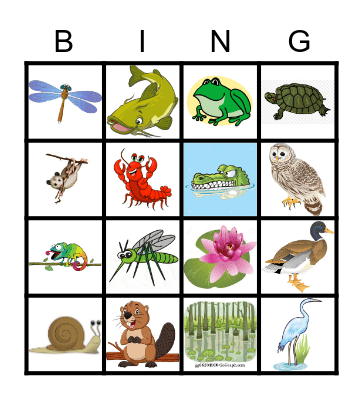 Miles Birthday Bingo Card