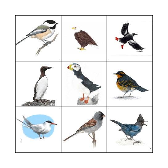 Bird Bingo Card