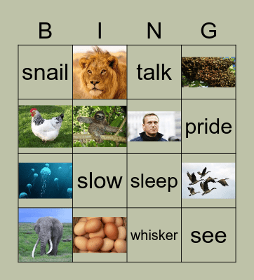 Friday classes Bingo Card