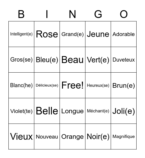 Les Adjectifs Bingo Card