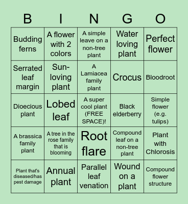 Horticulture Club Bingo Card
