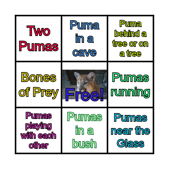 What Do You See In A Puma Enclosure? Bingo Card