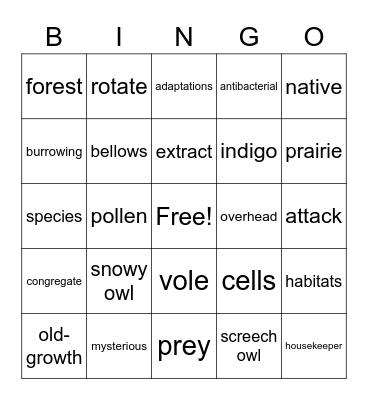 Vocabulary Bingo Card