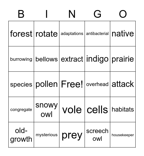 Vocabulary Bingo Card