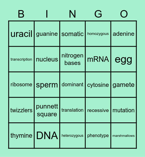 Category 2: Genetics Bingo Card