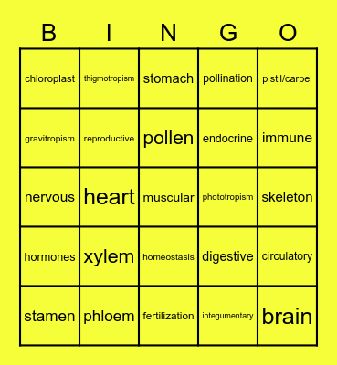 Category 4: Plants and Animal Systems Bingo Card