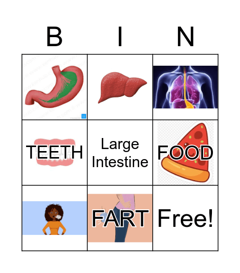 Digestive System Bingo Card