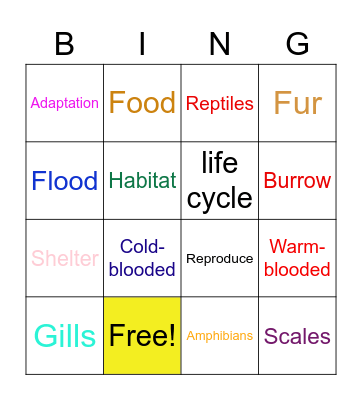 Animals Bingo Card