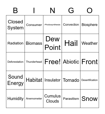 6th Grade Science Review Bingo Card