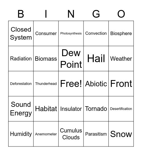6th Grade Science Review Bingo Card