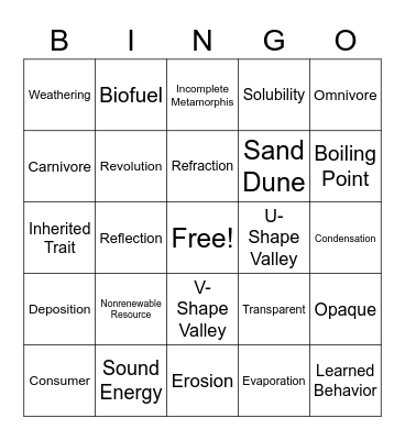 Science Review Bingo Card