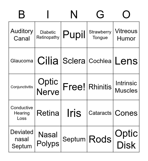 Sensory System Bingo Card