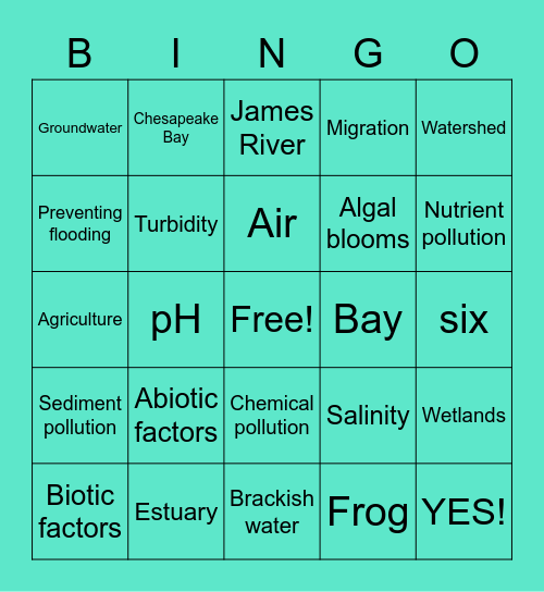 Watersheds Bingo Card