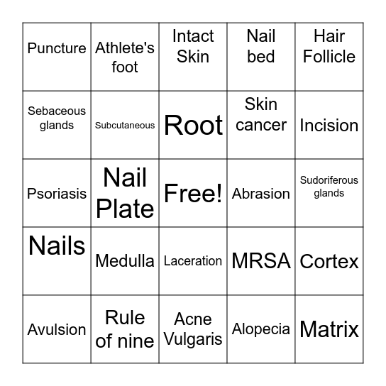 Integumentary System Bingo Card