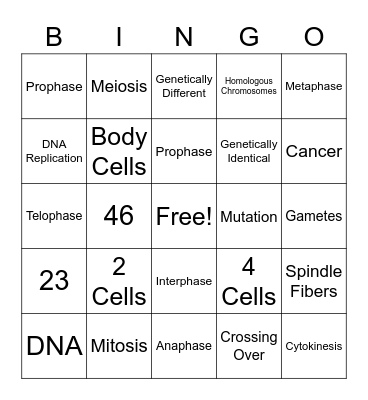 Cell Cycle Bingo Card