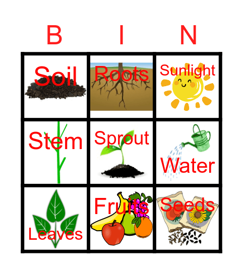 Plants Bingo Card