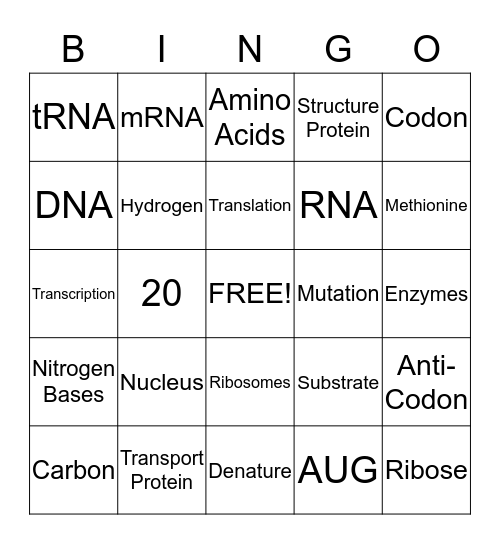 DNA and Protein synthesis  Bingo Card