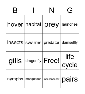 Vocabulary and Phonics Bingo Card