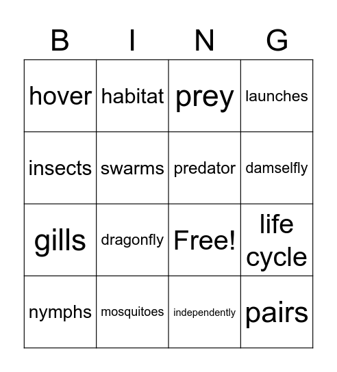Vocabulary and Phonics Bingo Card