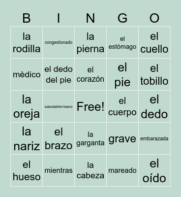 El Cuerpo y Adjetivos Bingo Card