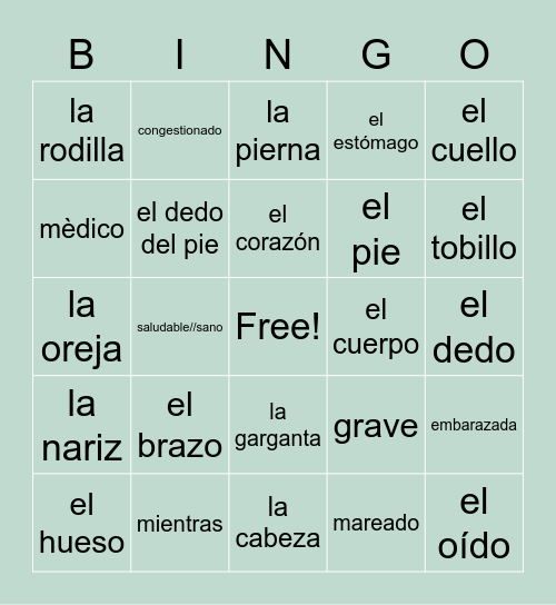 El Cuerpo y Adjetivos Bingo Card