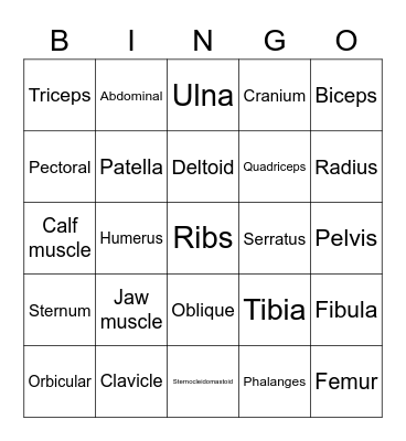 Musculoskeletal system Bingo Card