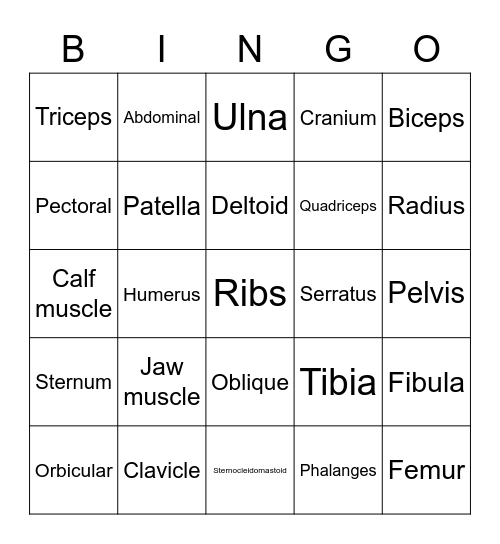 Musculoskeletal system Bingo Card