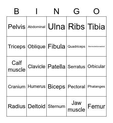 Musculoskeletal system Bingo Card