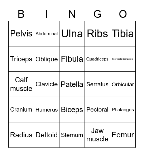 Musculoskeletal system Bingo Card